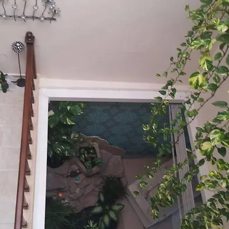 Appartement Kestel 3+1